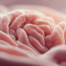 O que é pancreatite?